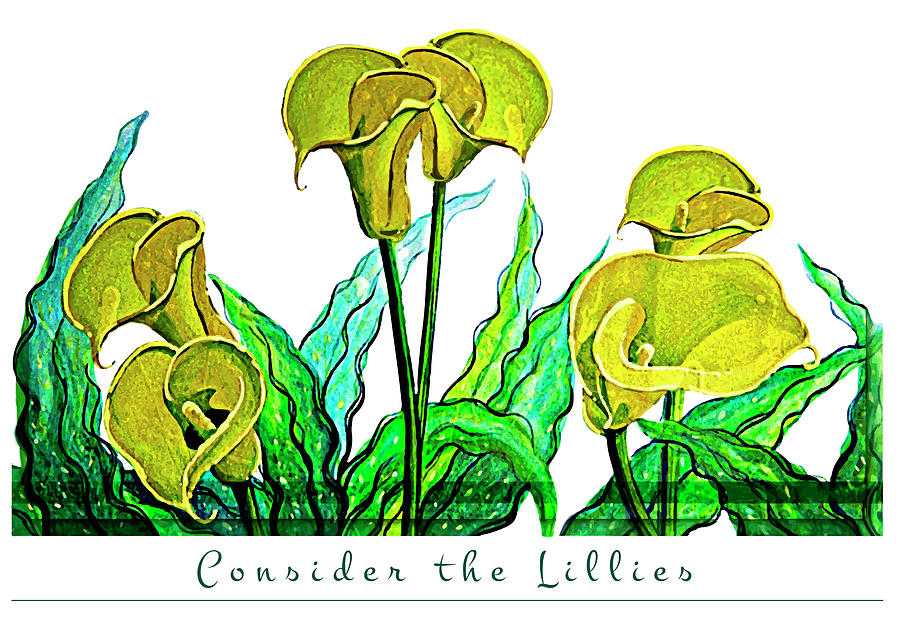 Consider the Lillies Painting by Ian Anderson