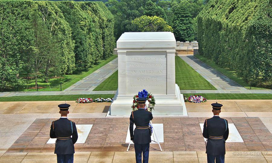 Constant Guard Photograph by Christopher Duncan | Fine Art America