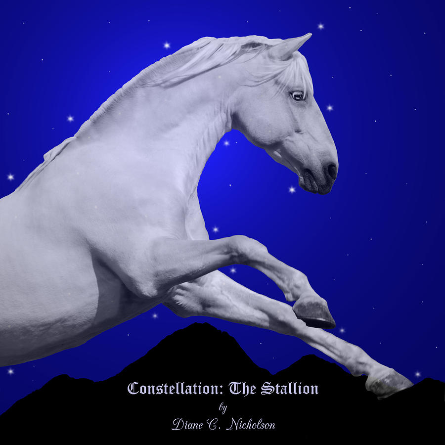 Horse Photograph - Constellation The Stallion by Diane C Nicholson
