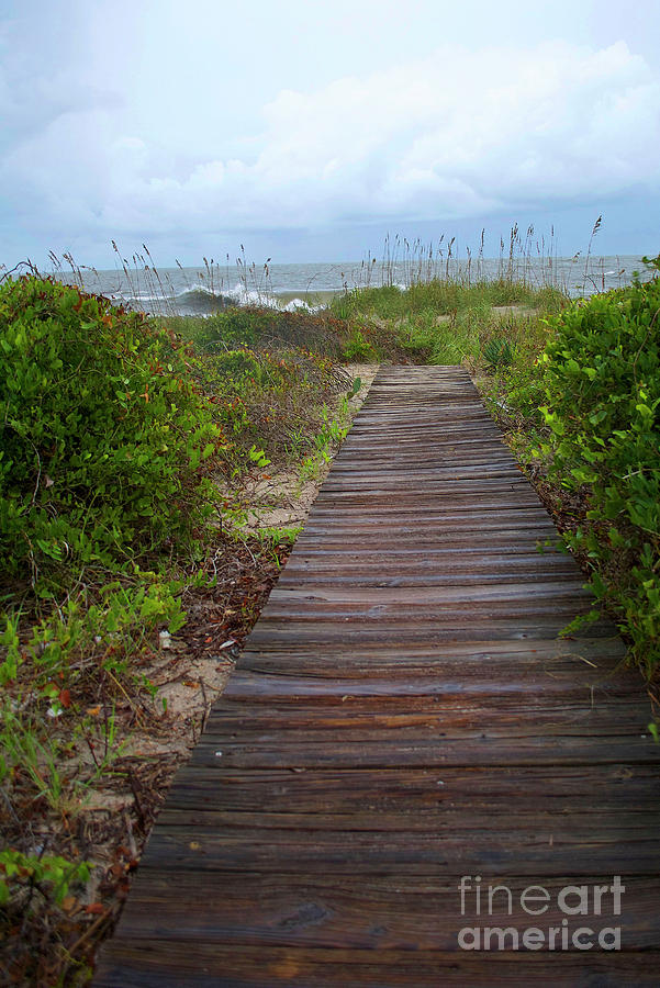 Constructed Path Photograph by Skip Willits