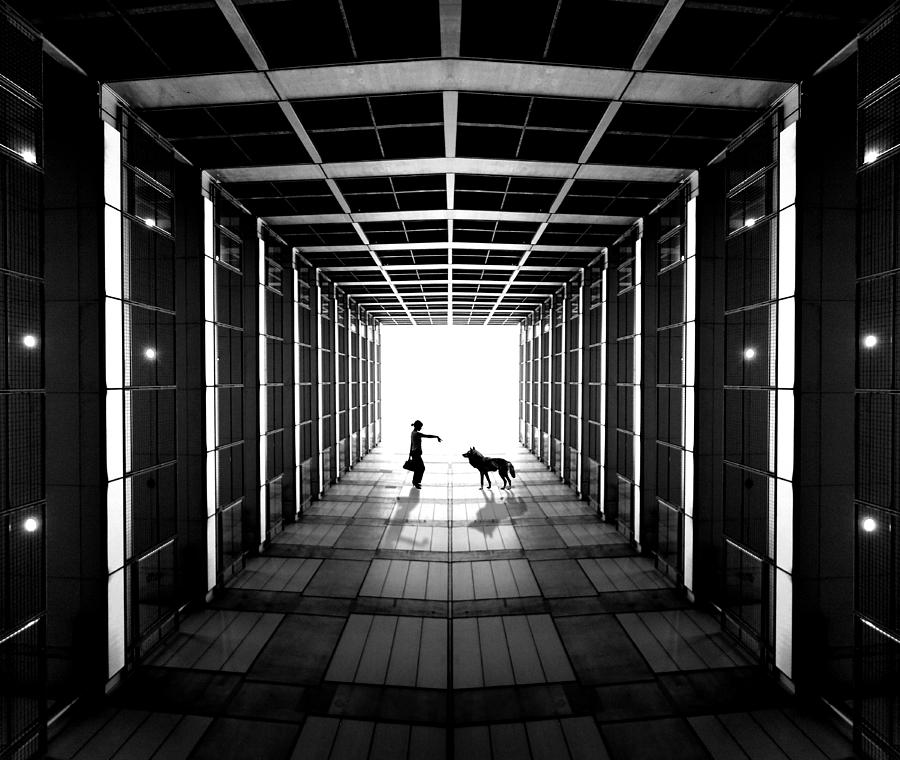 Black And White Photograph - Contact by Koji Tajima