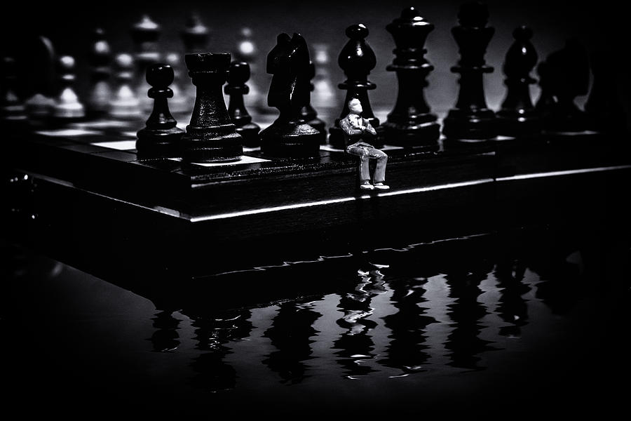 Contemplating Your Next Move Photograph by Marnie Patchett