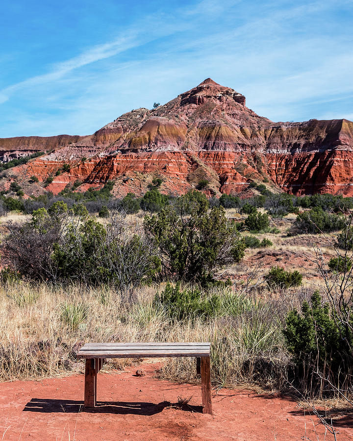 Contemplation Bench by Adam Reinhart Contemplation Bench by Adam Reinhart
