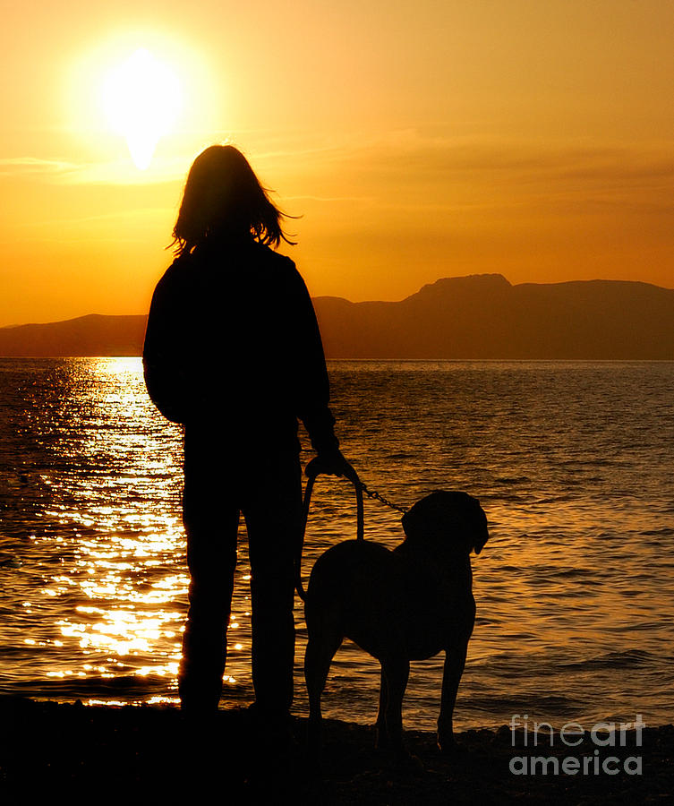 Dog Photograph - Contemporaneous Moment - Friends Sharing A Sunset by Steven Milner