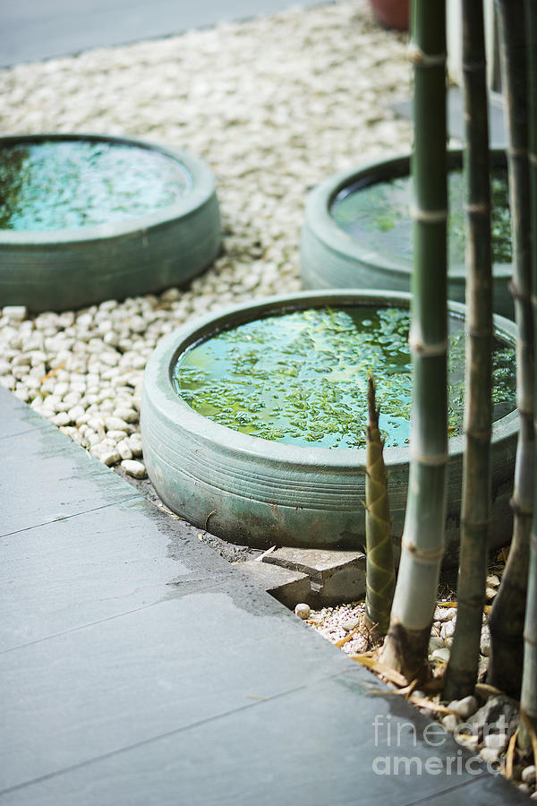 Contemporary Asian Tropical Garden Design Exterior Photograph by JM Travel Photography