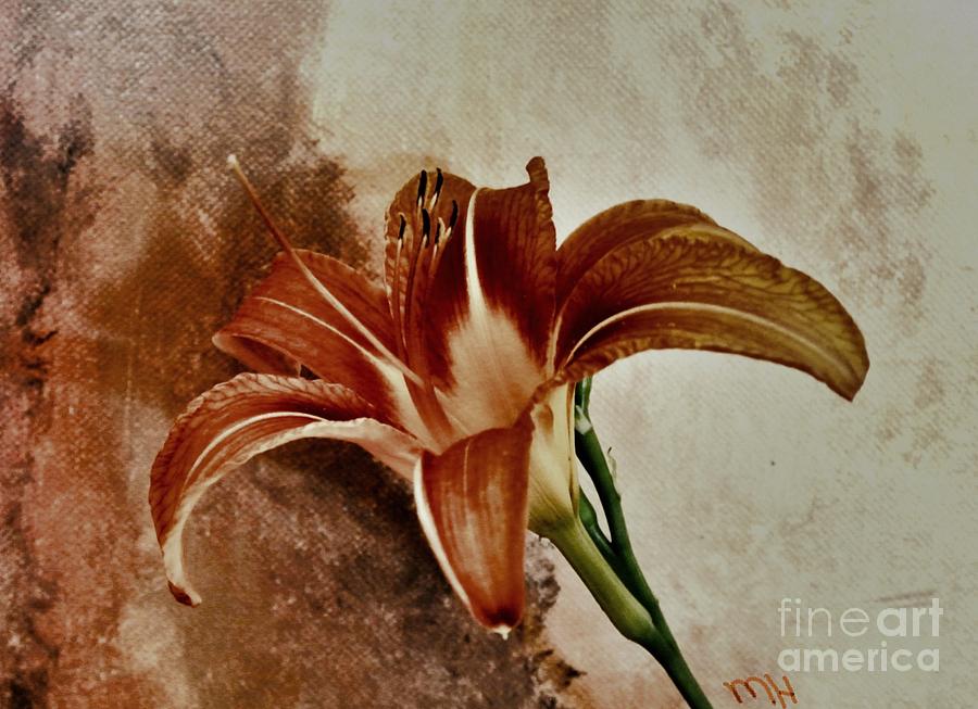 Contemporary Tiger Lily Photograph by Marsha Heiken