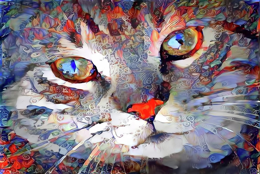 Content Kitty Cat Digital Art by Peggy Collins