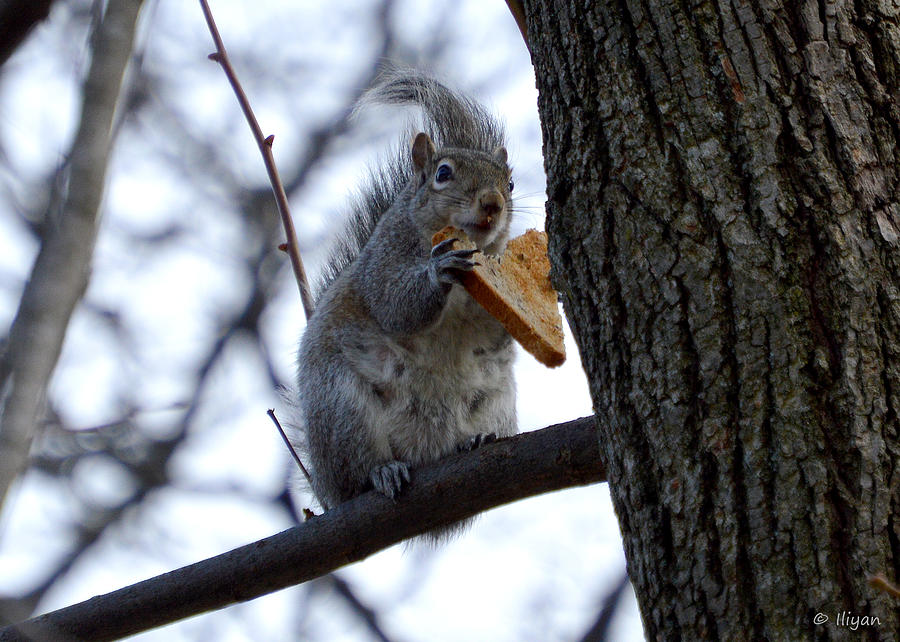 healthy-feeding-habits