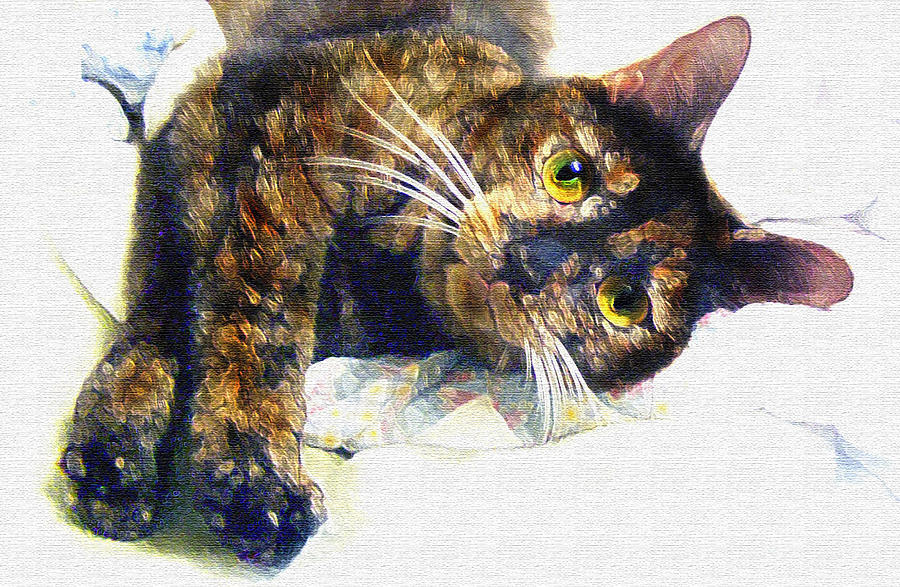 Cat Painting - Contented Cat by Jane Schnetlage