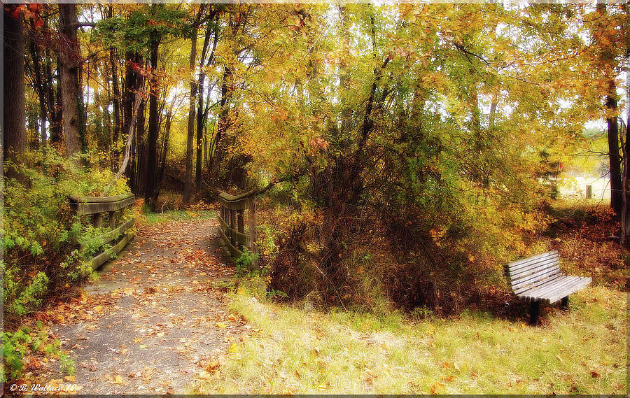 Fall Photograph - Contented Path by Brian Wallace