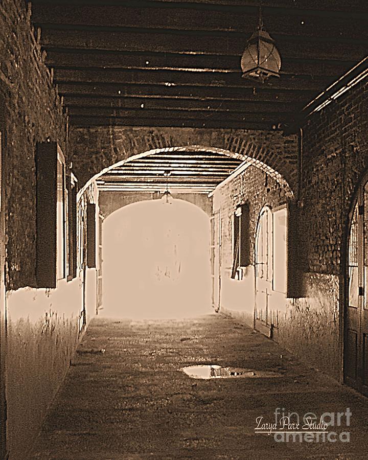 New Orleans Photograph - Conti Alley by Zarya Parx  Studio