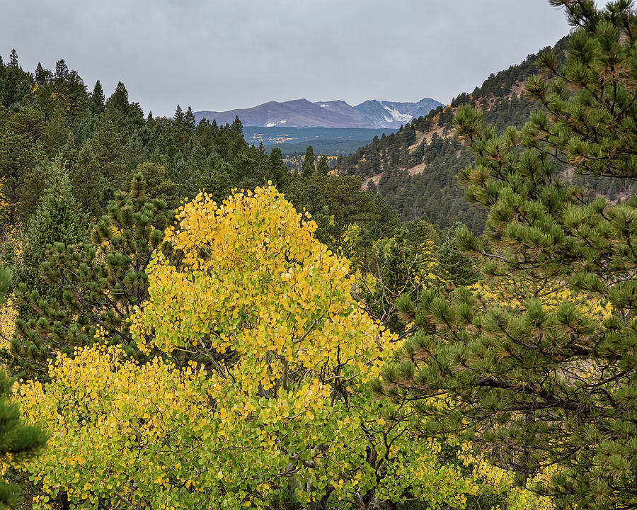 Continental Divide Autumn View Photograph by James BO Insogna