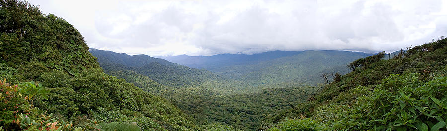 Continental Divide of Costa Rica Photograph by Patricia Bolgosano