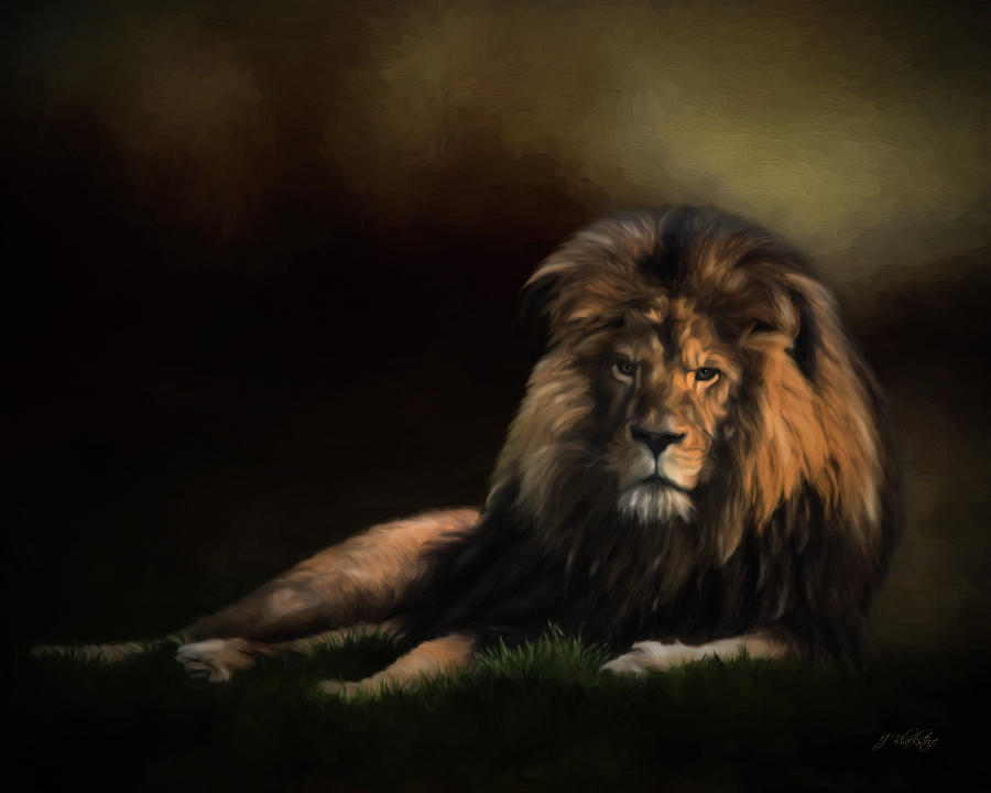 Continue The Journey - Lion Art Photograph by Jordan Blackstone