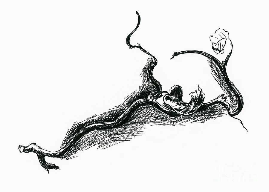 Contorted Filbert Twig with Dry Leaves Drawing by MM Anderson