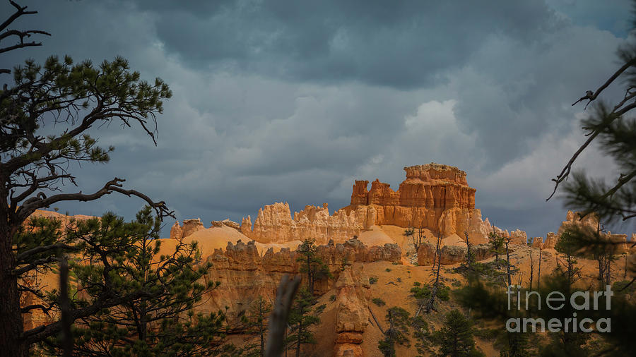 Contrast in Bryce Canyon Photograph by Agnes Caruso