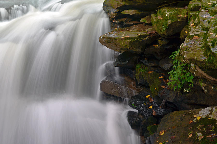 Waterfall Photograph - Contrast by Lisa Lambert-Shank