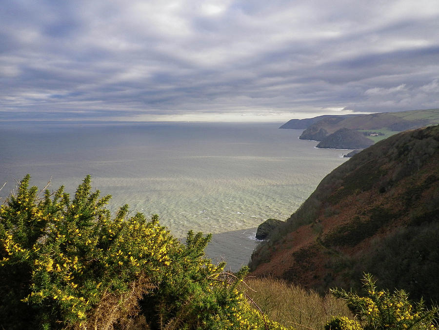 Contrasts Near Heddons Mouth Devon Photograph by Richard Brookes