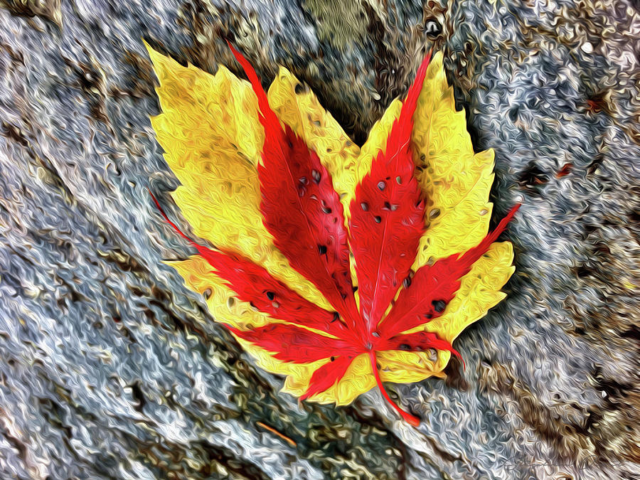 Contrasting Leaves - Digital Oil Digital Art by Birdly Canada