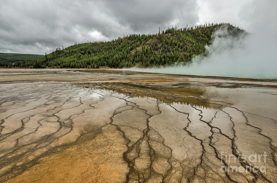 Contrasts at Midway Geyser Basin Photograph by Sue Smith