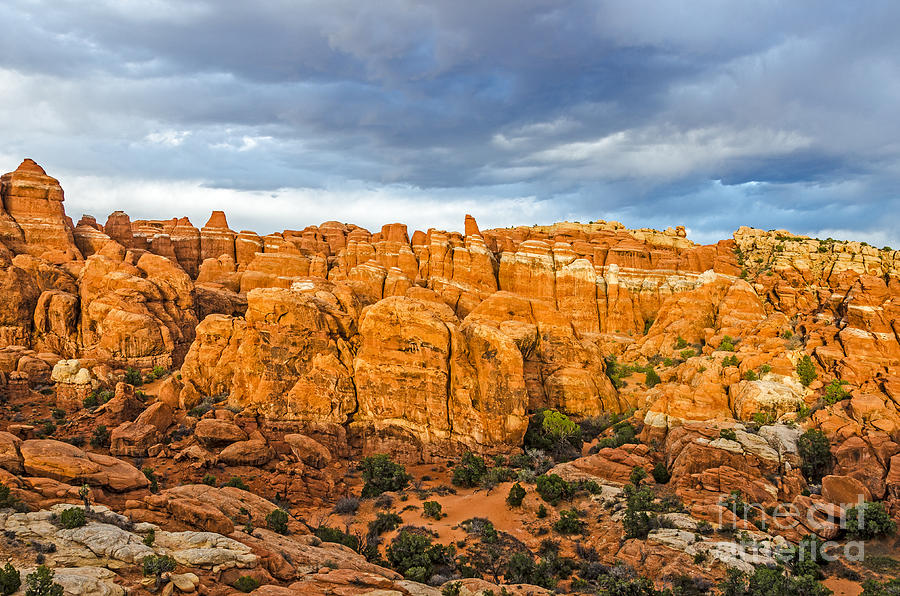 Contrasts in Arches National Park Photograph by Sue Smith