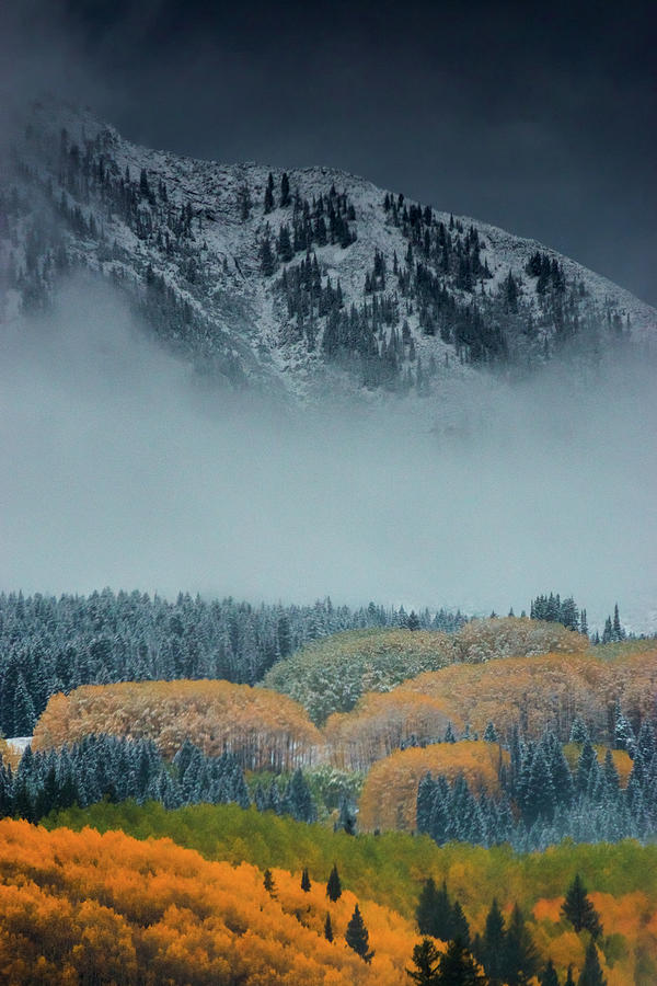 Contrasts Of Autumn Photograph by John De Bord