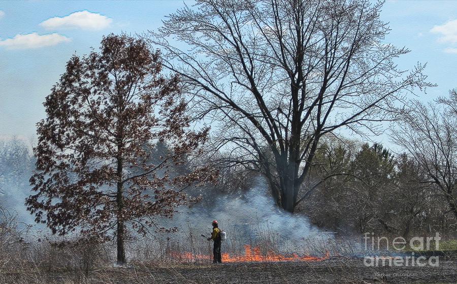 Controlled Burn Photograph by Kathie Chicoine