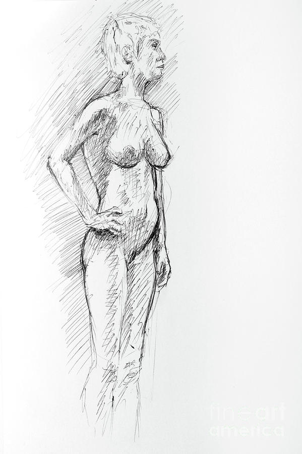 Controposto a pen and ink drawing of female nude Drawing by Adam Long