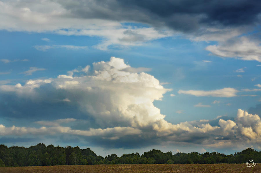 Convection Photograph by Ally White - Fine Art America