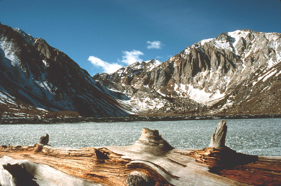 Convict Lake Photograph by Abbe Gore