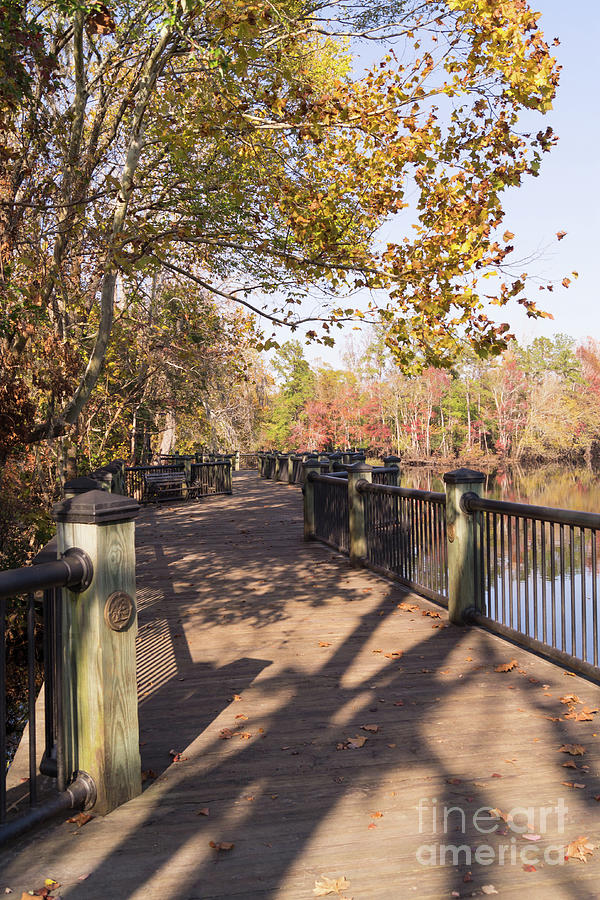 Conway Riverwalk in Autumn Photograph by MM Anderson