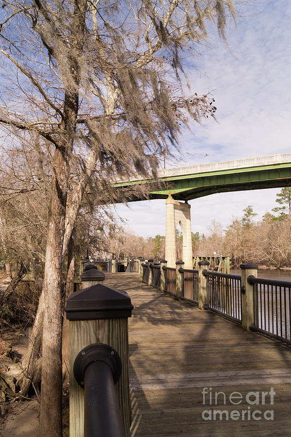 Conway Riverwalk in January Photograph by MM Anderson