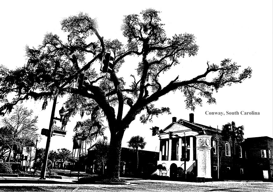 Conway South Carolina Live Oak Downtown Black and White Digital Art by