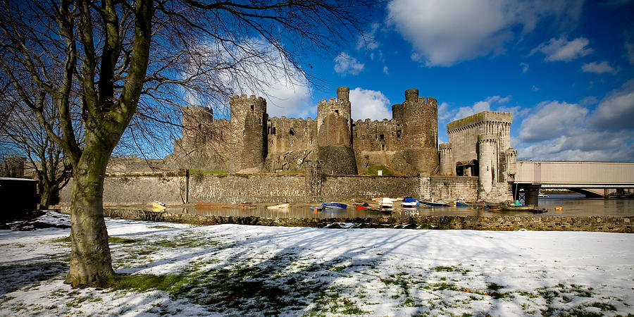 Conwy Castle from the East Photograph by Peter OReilly