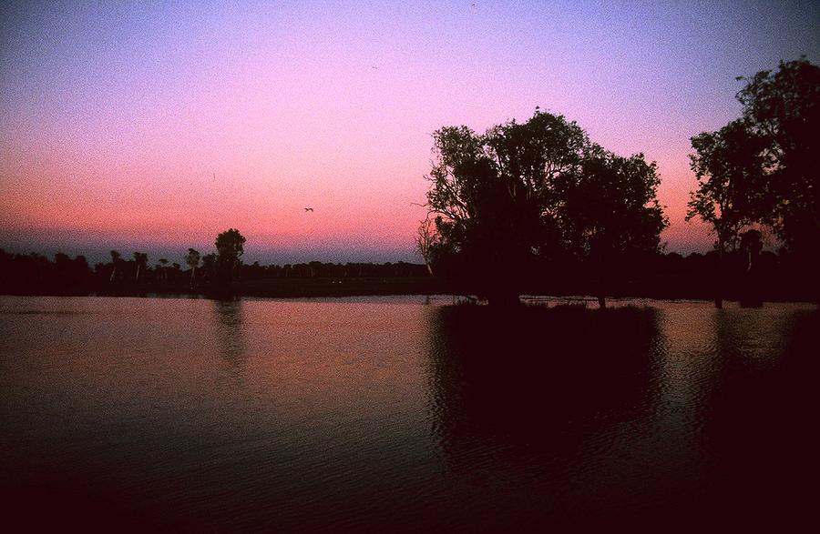 Tree Photograph - Cooinda Sunrise by Gary Wonning