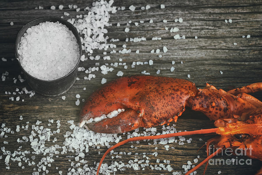 Cooked lobster claw with sea salt on wood Photograph by Sandra Cunningham