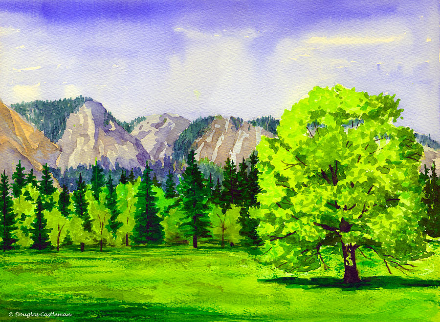 Cookes Meadow Yosemite Painting by Douglas Castleman