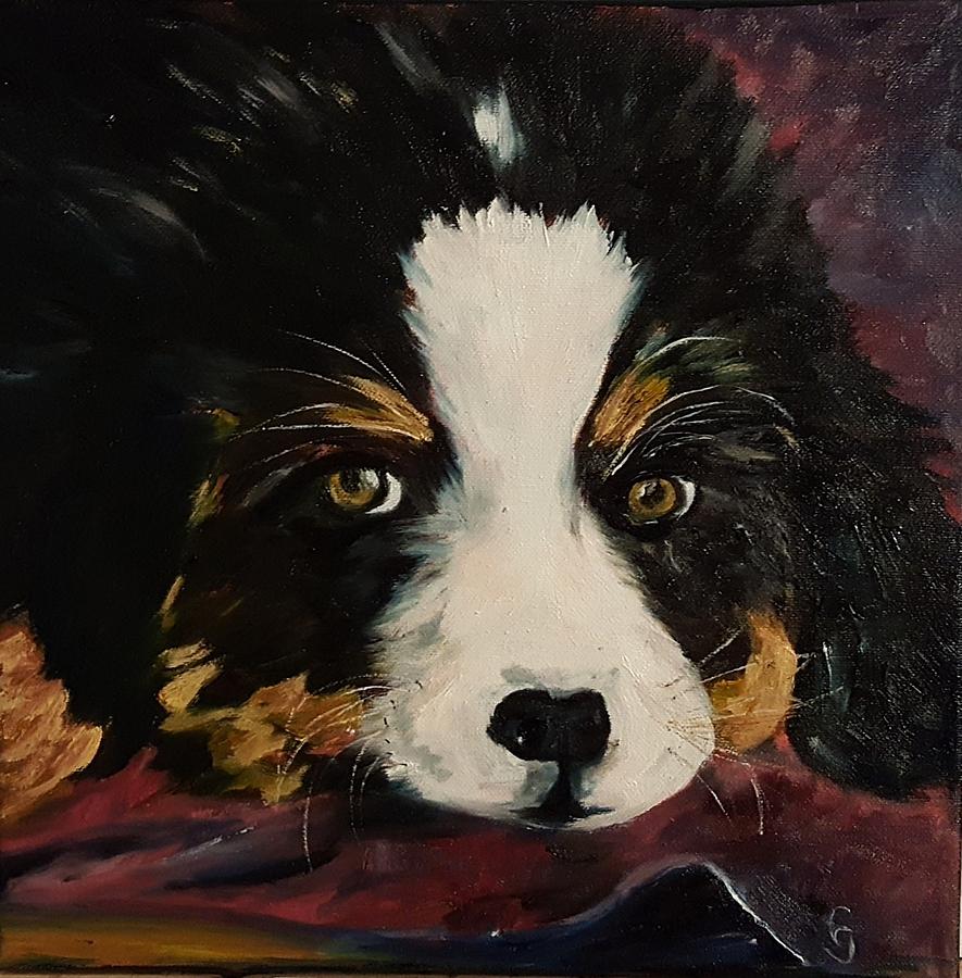 Cookie Bernese Mountain Dog    10 Painting by Cheryl Nancy Ann Gordon
