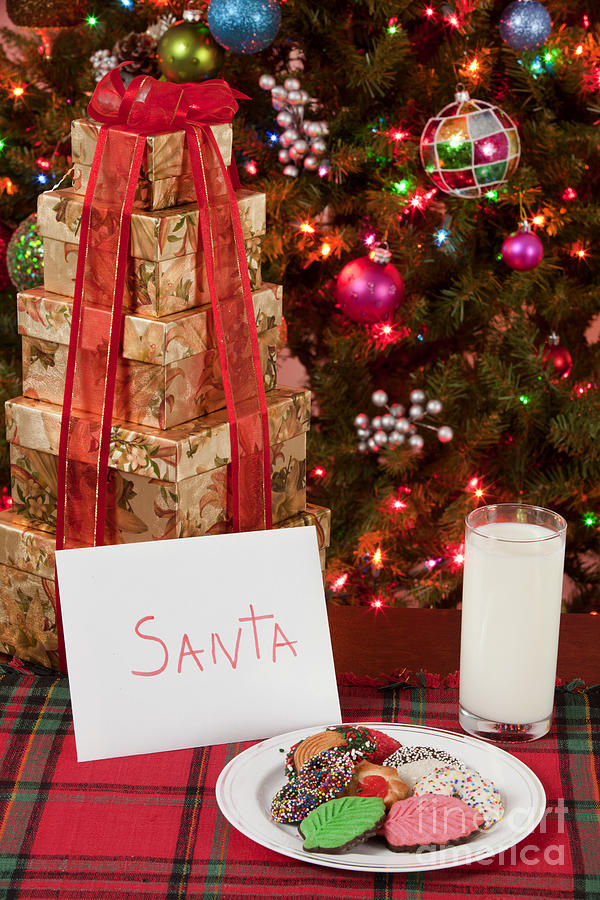 Cookies and milk for Santa Photograph by Anthony Totah