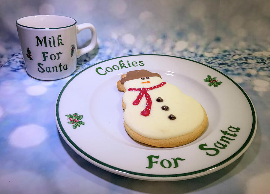 Cookies for Santa Photograph by Steph Gabler