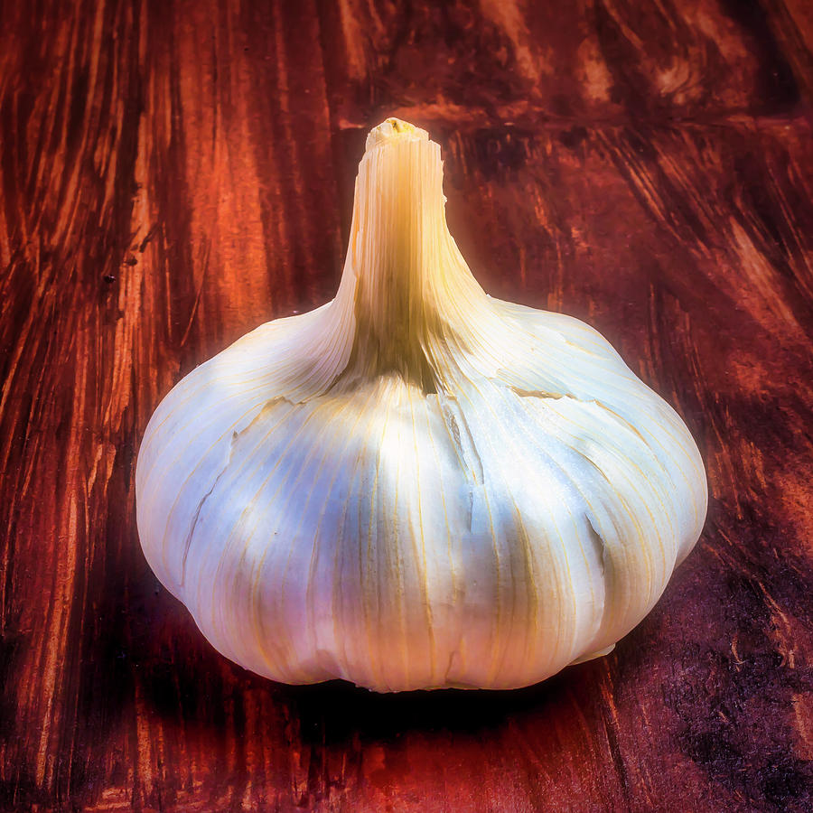 Cooking With Garlic Photograph by Garry Gay
