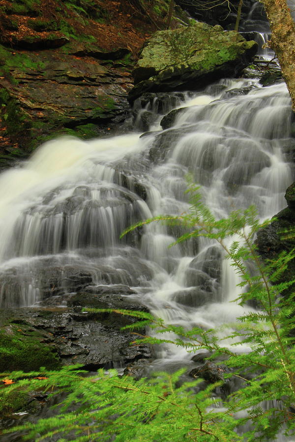 Cooks Canyon Falls Photograph by John Burk - Fine Art America