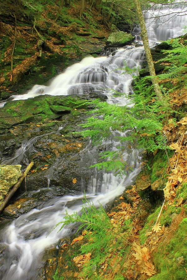 Cooks Canyon Galloway Brook Waterfall Photograph by John Burk - Fine ...