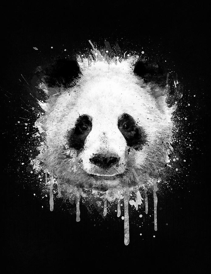 Cool Abstract Graffiti Watercolor Panda Portrait in Black and White  Digital Art by Philipp Rietz