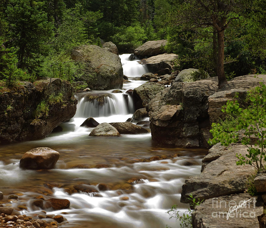 Rocky Mountain National Park Photograph - Cool and Green and Shady by Bon and Jim Fillpot