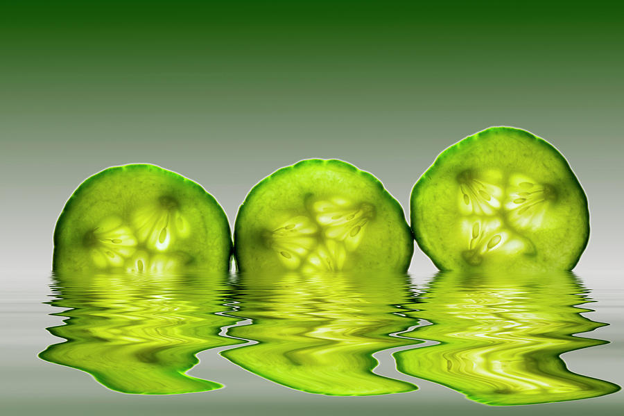 Cool as a Cucumber Slices Photograph by David French