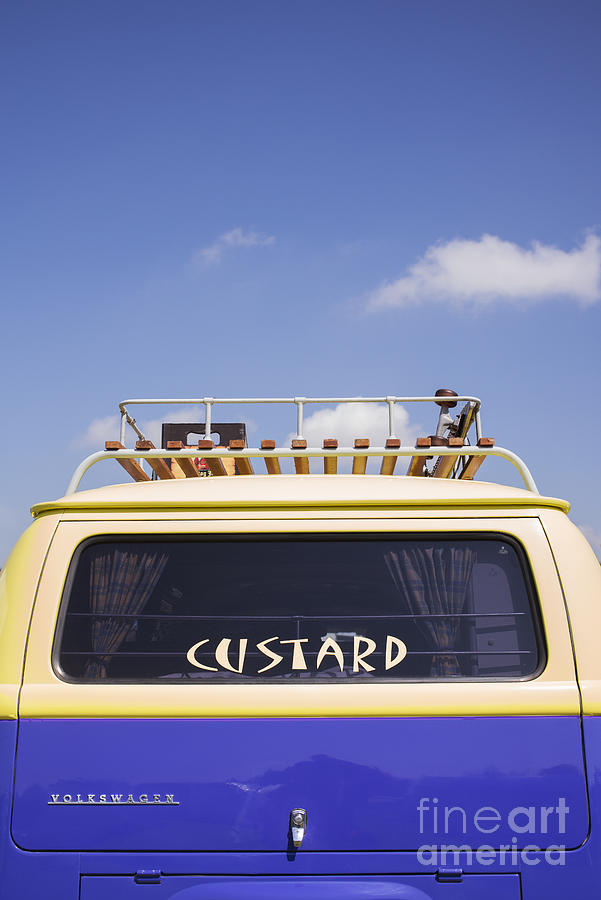 Cool As Custard Photograph by Tim Gainey