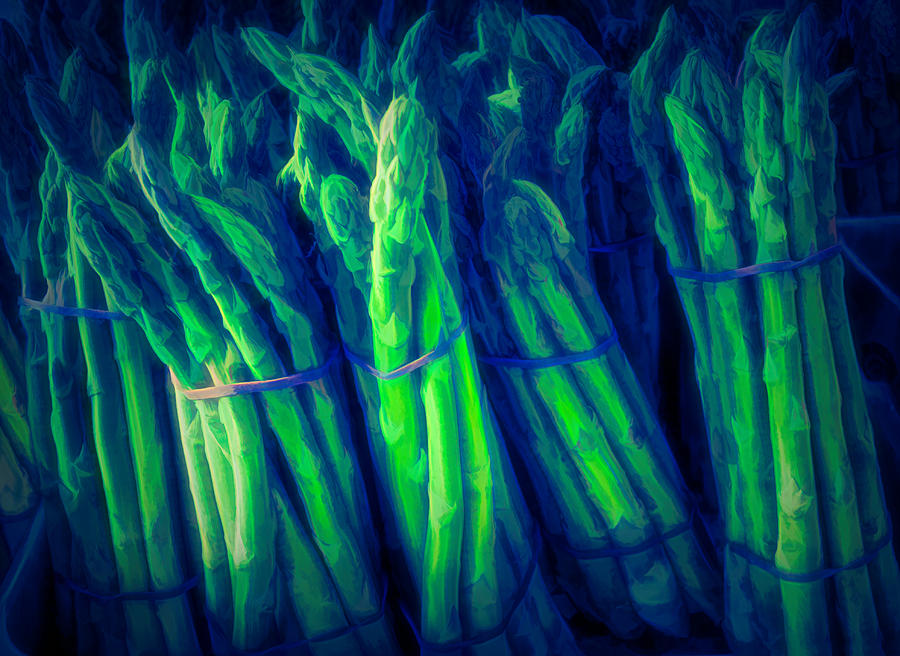 Cool Asparagus Photograph by Tom Reynen