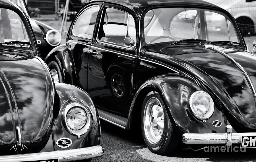 Black And White Photograph - Cool Beetles by Tim Gainey
