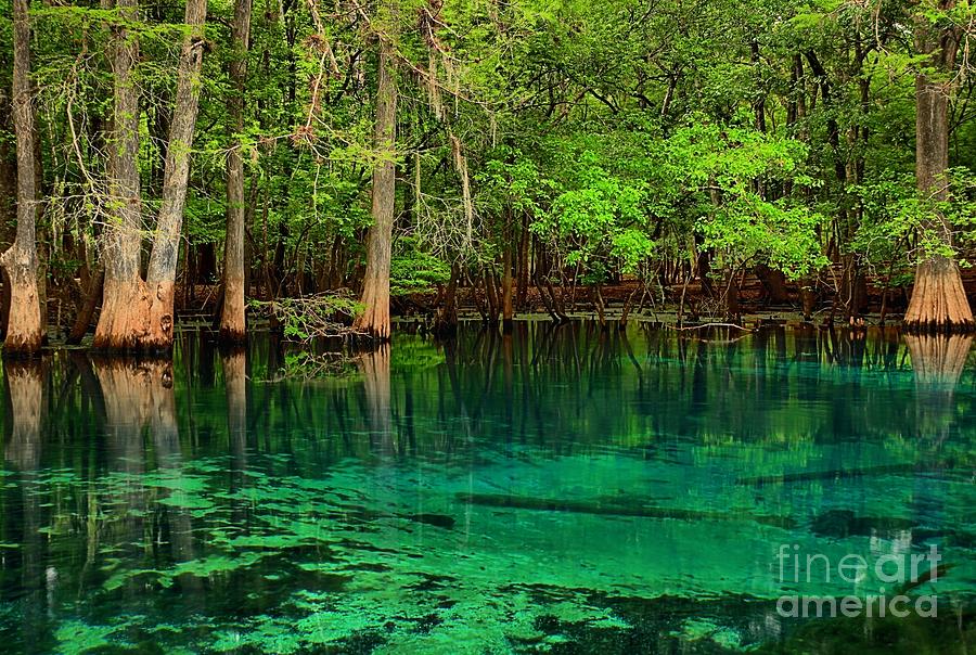 Manatee Spring Photograph - Cool Blue Manatee Spring Waters by Adam Jewell